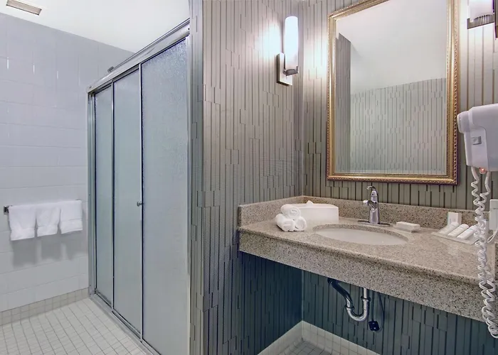 One-Bedroom King Suite